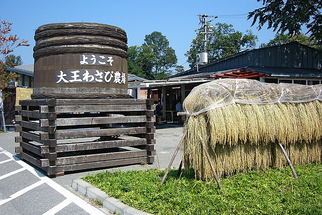 Rivers of Green at Daio Wasabi Farm