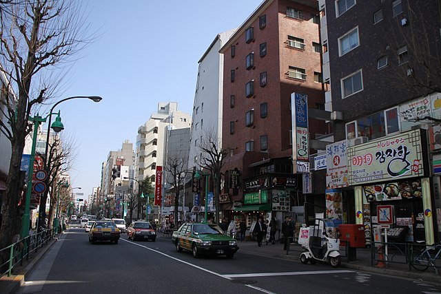 大久保 (新宿区)(Okubo): "Whispers of Urban Harmony"