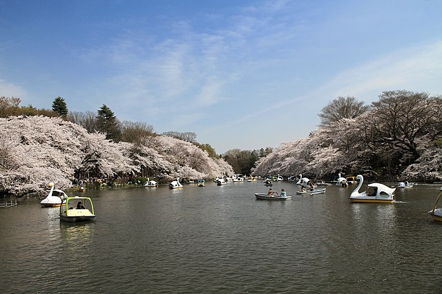 井の頭恩賜公園 (Inokashira Park): Whispering Willows and Tranquil Waters