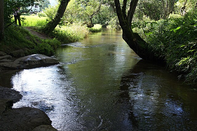 カッパ淵(Kappa Pond): "Whispers of the Water Sprite"