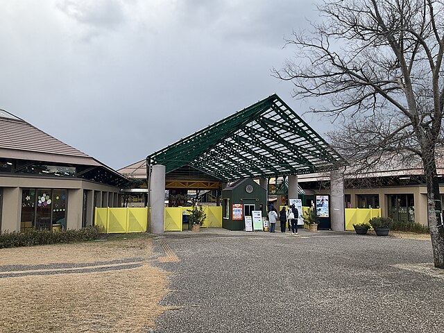 鳥取砂丘こどもの国 (Tottori Sand Dunes Conan's Land): "Whispers of Dunes and Dreams"