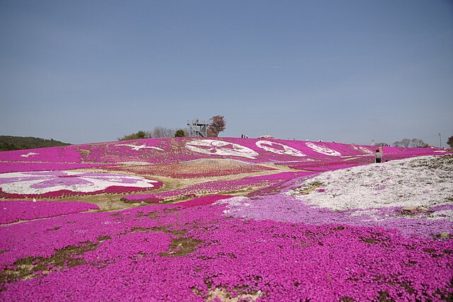 花夢の里ロクタン (Village of Flower Dreams): "Whispers of Blossoms in a Dreamscape"