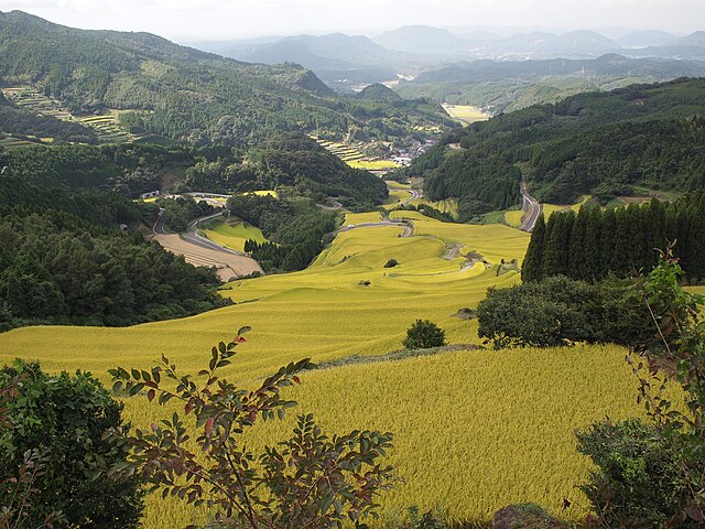 蕨野の棚田 (Wara-no Rice Terraces): "Whispers of the Verdant Waves"