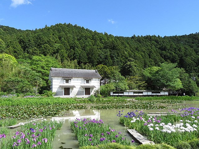 加茂花菖蒲園 (translated 加茂花菖蒲園 to English): "Whispers of Iris in the Garden of Tranquility"
