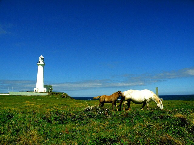 尻屋埼灯台 (Shiriya Cape Lighthouse): "Beacon of the Whispering Waves"