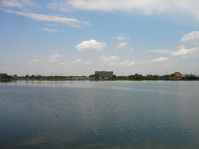 伊佐沼(Iza Pond): "Whispers of Tranquil Reflections"