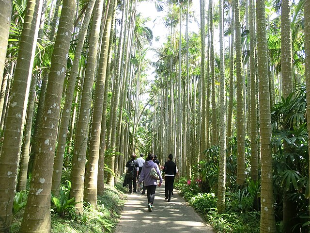 東南植物楽園(Southeast Botanical Garden): "Whispers of Verdant Dreams"