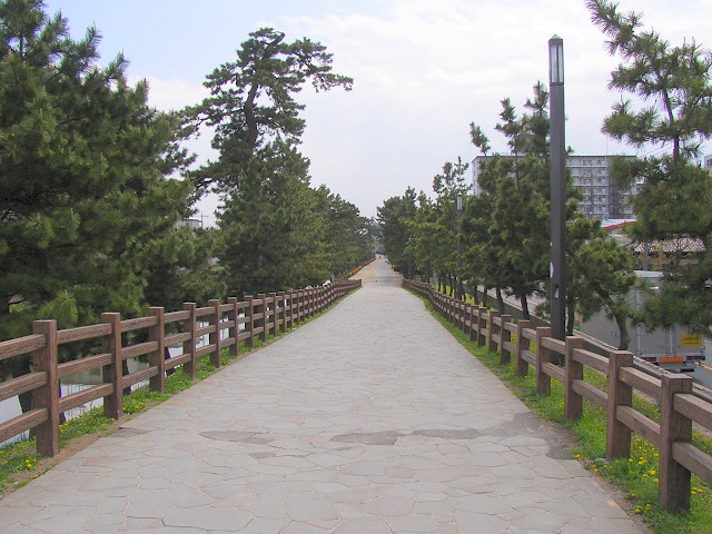 草加松原 (Soka Matsubara): "Whispers of the Pine Breeze"