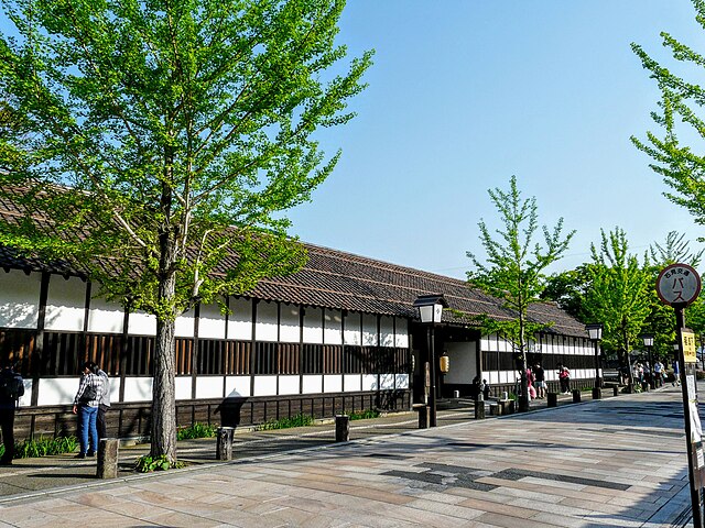 津和野町津和野伝統的建造物群保存地区 (Tsuwano Town Traditional Building Preservation District): "Whispers of Timeless Elegance"
