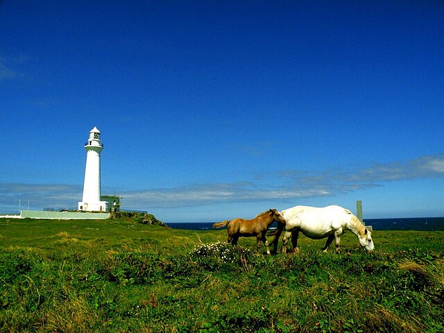 Winter Horses at Cape Shiriyazaki Lighthouse