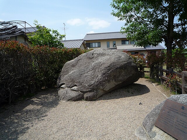 亀石(Turtle Stone): "Whispers of the Ancient Shell"