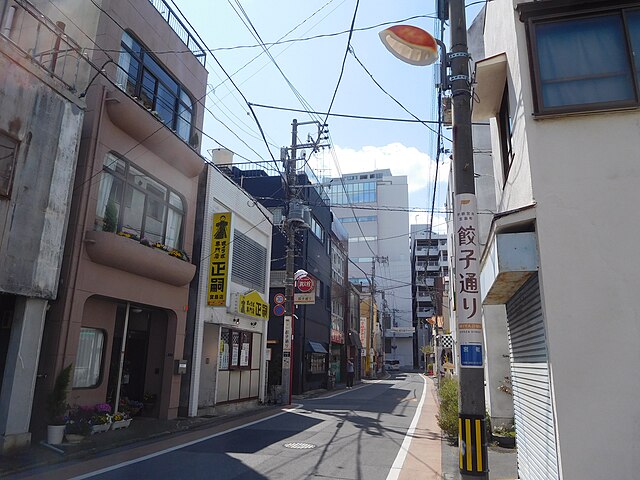 餃子通り(Dumpling Street): "Whispers of Flavor in the Steamed Breeze"