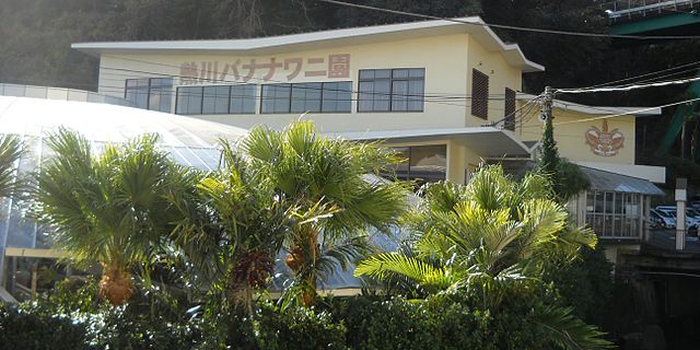 熱川バナナワニ園(Banana Crocodile Garden): "Whispers of the Tropics: Where Bananas and Crocodiles Dance"