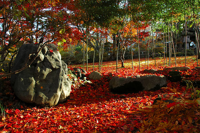 もみじ園 (Maple Garden): "Whispers of Crimson Leaves"