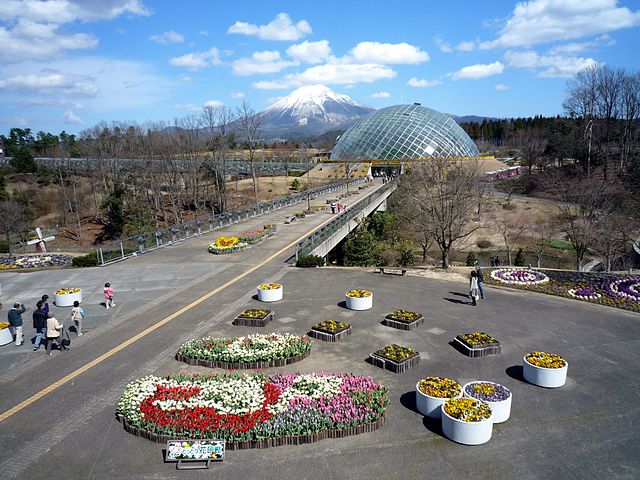 Tottori's Petal Arcade