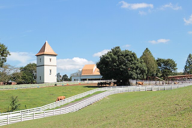Dappled Light and Farmyard Play at Ibaride