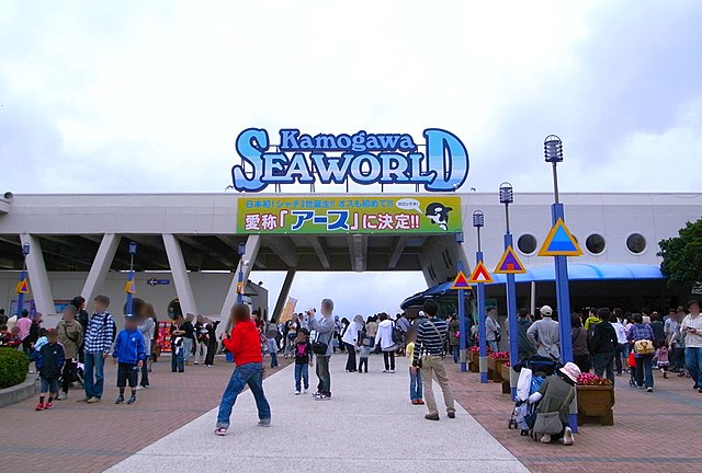 鴨川シーワールド(Kamogawa Sea World): "Whispers of the Ocean's Heart"