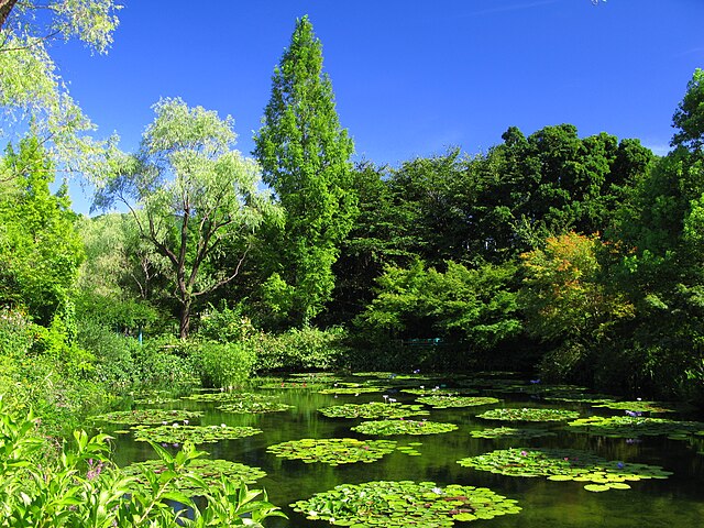 北川村モネの庭マルモッタン (translated 北川村モネの庭マルモッタン to English): "Whispers of Water Lilies in a Dreamscape"