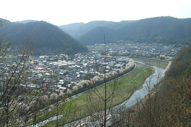 井原堤(Ibara Dike): "Whispers of Serenity Beneath the Cherry Blossoms"