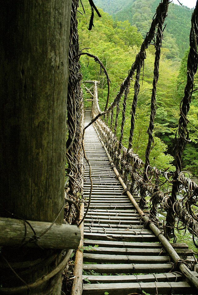 奥祖谷二重かずら橋(Double Vine Bridge of Oku Iya): Whispering Shadows of Nature's Embrace