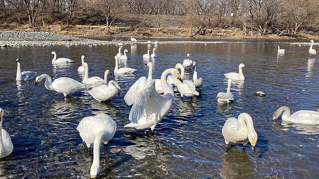 Mirror Sky over the Treasure-Field Reservoir