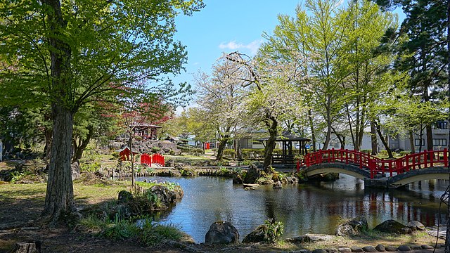浅舞公園 (Shallow Dance Park): "Whispers of Cherry Blossoms in the Gentle Breeze"