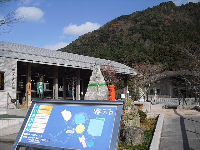 Matcha Mist at Kiri no Mori Roadside Station
