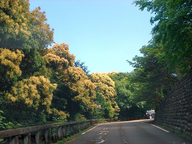 金華山ドライブウェイ (Kinka Mountain Driveway): "Serpentine Dreams on Kinka's Crest"